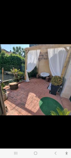 La coccinella